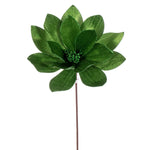 Vickerman RG223304 22" Green Velvet Sheen Glitter Trim Poinsettia Stem 4 Per Bag.