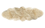 Long Wool Sheepskin Rug 2'x6' – Bisque Double Pelt Natural Wool Area Rug with Plush Texture for Indoor Decor by Auskin