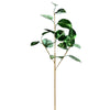 Vickerman RX193304 33" Green Shiny Leaf Artificial Christmas Spray. Includes 2 Sprays Per Pack.