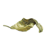 Sagebrook Home 16468-02 Metal 22" Curled Leaf, Gold