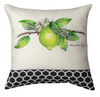 Fruit Inspired Pillow – Grove Song Design – 12 Inch Cushion