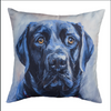 18 Inch Decorative Pillow