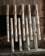 White and Brown Birch Branch Bundle