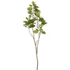 Vickerman TB170301 48" Artificial Green Cotinus Coggygria Tree.