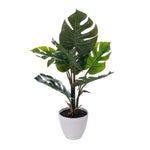 Vickerman TB230118 18" Green Monstera Plant X7 In White Pot.