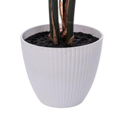 Vickerman TB230137 37