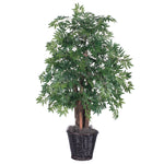 Vickerman TBU0640 4' Artificial Ming Aralia Bush Rattan Basket