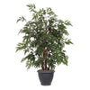 Vickerman TBU0640-RG 4' Artificial Ming Aralia Bush Gray Round Plastic Container.