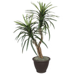 Vickerman TBU1140-RB 4' Artificial Marginata Bush Brown Plastic Container.