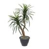 Vickerman TBU1140-RG 4' Artificial Marginata Bush Gray Round Plastic Container.