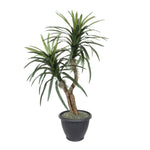 Vickerman TBU1140-RG 4' Artificial Marginata Bush Gray Round Plastic Container.