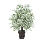 Vickerman TBU1640-0414 4' Artificial Silver Maple Bush Square Willow Basket.