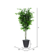 Vickerman TDX0160-RG 6' Artificial Ficus Deluxe Tree Gray Round Plastic Container.