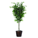 Vickerman TDX0160 6' Artificial Ficus Deluxe Rattan Basket.