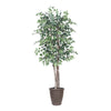 Vickerman TDX0260-RB 6' Artificial Variegated Ficus Deluxe Tree Brown Round Plastic Container.