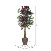 Vickerman TDX0360-RB 6' Artificial Capensia Deluxe Tree Brown Round Plastic Container.