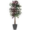 Vickerman TDX0360-RG 6' Artificial Capensia Deluxe Tree Gray Round Plastic Container.