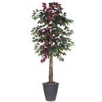 Vickerman TDX0360-RG 6' Artificial Capensia Deluxe Tree Gray Round Plastic Container.