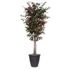 Vickerman TDX0370-RG 7' Artificial Capensia Deluxe Tree Gray Round Plastic Container.