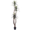 Vickerman TDX1165-07 6.5' Artificial Marginata Deluxe Black Plastic Pot