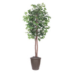 Vickerman TEC0160-RB 6' Artificial Ficus Tree Brown Round Plastic Container.