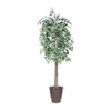 Vickerman TEC0260-RB 6' Artificial Variegated Ficus Tree Brown Round Plastic Container.