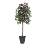 Vickerman TEC0360-RG 6' Artificial Capensia Tree Gray Round Plastic Container.