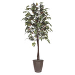 Vickerman TEC1760-RB 6' Artificial Frosted Maple Tree Brown Round Plastic Container.