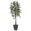 Vickerman TEC1760-RG 6' Artificial Frosted Maple Tree Gray Round Plastic Container.