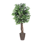 Vickerman TEX0160-RB 6' Artificial Ficus Executive Tree Brown Round Plastic Container.