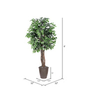 Vickerman TEX0160-RB 6' Artificial Ficus Executive Tree Brown Round Plastic Container.