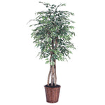 Vickerman TEX0260 6' Artificial Variegated Ficus Executive Rattan Basket.