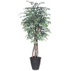 Vickerman TEX0260-RG 6' Artificial Variegated Ficus Executive Gray Round Plastic Container.