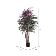 Vickerman TEX0360-07 6' Artificial Capensia Executive Black Plastic Pot