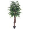 Vickerman TEX0660-07 6' Artificial Ming Aralia Executive Black Plastic Pot