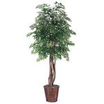 Vickerman TEX0660 6' Artificial Ming Aralia Executive Rattan Basket.