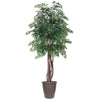 Vickerman TEX0660-RB 6' Artificial Ming Aralia Executive Tree Brown Round Plastic Container.