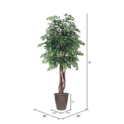 Vickerman TEX0660-RB 6' Artificial Ming Aralia Executive Tree Brown Round Plastic Container.