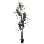 Vickerman TEX1165-07 6.5' Artificial Marginata Executive Black Plastic Pot