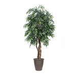 Vickerman TEX1460-RB 6' Artificial Green Smilax Executive Tree Brown Round Plastic Container.