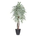 Vickerman TEX1660-RG 6' Artificial Silver Maple Executive Tree Gray Round Plastic Container.