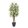 Vickerman TEX1760-RG 6' Artificial Frosted Maple Executive Tree Gray Round Plastic Container.