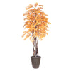 Vickerman TEX2260-RB 6' Artificial Golden Aspen Executive Tree Brown Round Plastic Container.