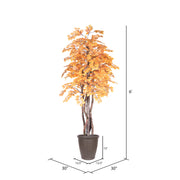 Vickerman TEX2260-RB 6' Artificial Golden Aspen Executive Tree Brown Round Plastic Container.