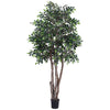 Vickerman TEX4260-07 6' Artificial Mini Ficus Executive Black Plastic Pot