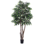 Vickerman TEX4260-07 6' Artificial Mini Ficus Executive Black Plastic Pot