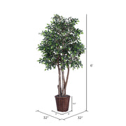 Vickerman TEX4260 6' Artificial Mini Ficus Executive Rattan Basket