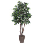 Vickerman TEX4260-RB 6' Artificial Mini Ficus Executive Tree Brown Round Plastic Container.