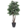 Vickerman TEX4260-RG 6' Artificial Mini Ficus Executive Tree Gray Round Plastic Container.