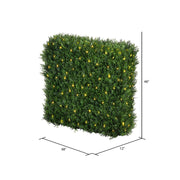 Vickerman TP201348LED  48